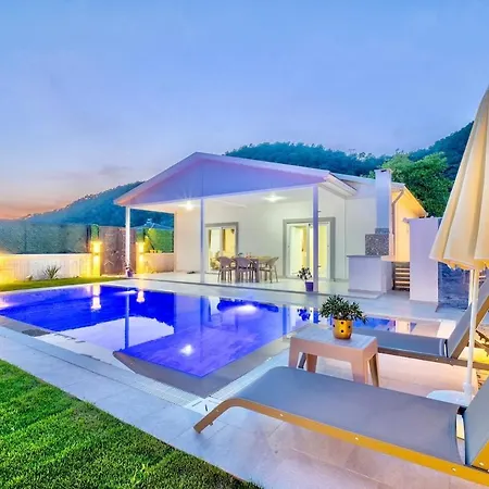 A Secluded In Gocek, One Kilometer From The Sea